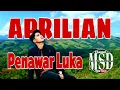 Download Lagu APRILIAN - Penawar Luka (Official music MSD)