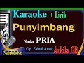 Download Lagu Punyimbang Karaoke Nada Pria