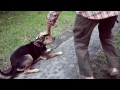 Navicula - Days of War, Nights of Love  (Official Video)