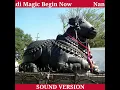 Nandi Booster - NandiMagic Begin Now - Sound Version - Please Read Description