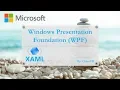Day2 Remove Show Runtime Tools in Application in WPF