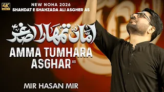 Amma Tumhara Asghar (as) | Mir Hasan Mir | Nohay 2026 | Muharram 2026/1448