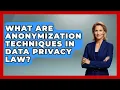 What Are Anonymization Techniques In Data Privacy Law - AI and Technology Law