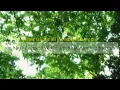 Download Lagu Before spring ends ( Vietsub) | WANG OK feat. Duke Lee