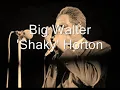 Big Walter Horton-Walter's Shuffle