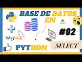Instalacion del Conector y Consultas en Python Aprende a Conectar con Bases de Datos