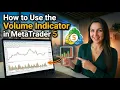 How to Use the Volume Indicator in MetaTrader 5