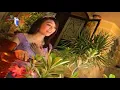 Ida Laila - Bunga Dahlia (Official Music Video)