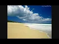 Paul Kalkbrenner - Gia 2000