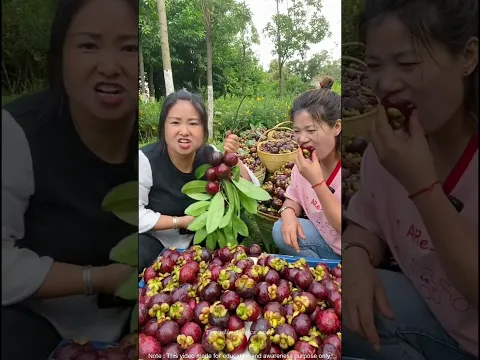 வெயில் காலங்களில் சாப்பிட வேண்டிய குளிர்ச்சியான உணவுகள் 🍈🍇 #fruits #facts #amazingfacts #forest