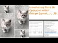 Introductory Stata 16 Operation within Groups bysort - n