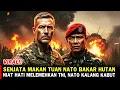 Download Lagu NATO KOCAR-KACIR‼️ RAHASIA TAKTIK KOPASSUS, HUTAN AMBALAT JADI MIMPI BURUK PASUKAN NATO