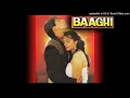 Lagu Ek Chanchal Shokh Haseena -