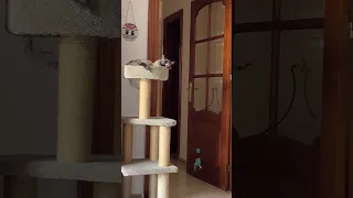 Blacky y Noa ☺️ quién es quién? 