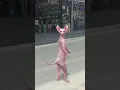 Download Lagu kedicik mavi araba. carpacakti #kedi #müzik #tiktok #dans #şarkı #funny #musicgenre