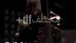 قصة وفااا كلب مع موسيقى حزينة نعم يا سادة عن الووفااا نتكلم 