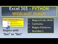 Excel Python Wildcard Search