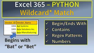 Excel Python Wildcard Search