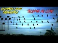 Download Lagu HQ FLAC  ELECTRIC LIGHT ORCHESTRA ELO  - TELEPHONE LINE  Best Version SUPER ENHANCED AUDIO \u0026 LYRICS