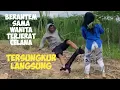 Lagu BERANTEM TERJERAT CELANA