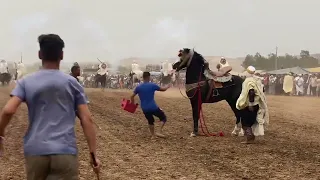 سقوط خطير لفارس من علفة الحاج محمد ولد العروي بوعدة سيدي الشارف 2023 