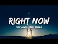 Download Lagu Nick Jonas, Robin Schulz - Right Now (Lyrics)