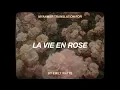 emily watts • la vie en rose | myanmarsub+lyrics
