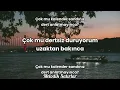 Candan Erçetin - Gamsız Hayat (sözler/lyrics)