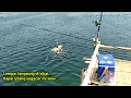 Download Lagu Di babad langsung modal kepala udang.! MANCING BAGAN TERBARU BAGAN PERTAMINA