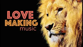 love making music lion in bed u0026 sax on fire