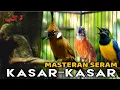 Lagu 🔴MASTERAN SERAM‼️ - CUCAK CUNGKOK TEPUS KEPALA ABU CILILIN cocok buat murai batu, cucak ijo, cendet