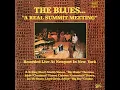 Got My Mojo Workin' (Live) - Muddy Waters