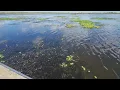 Rotax 503 Airboat Test