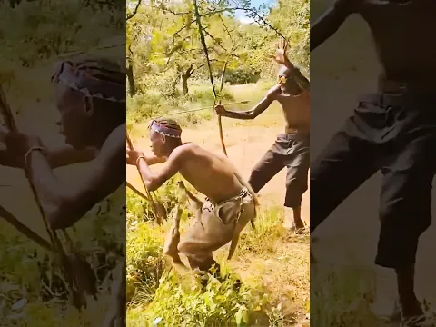 They Spotted Something Grazingβ¦ Then Raised Their Bows! π³πΉ | Bush Awareness!