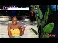 Dear McKoy - The Ultimate Confession live