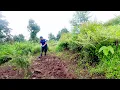 Download Lagu Rojan rai continue making a pond to keep some toads || life in rural Nepal