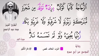 الشيخ عبده عبد الراضي رآئعة سورة النور علم القراءات والنغم الفريد والوقف والإبتداء 
