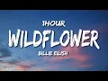 Download Lagu Billie Eilish - WILDFLOWER (Lyrics) [1HOUR]