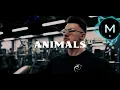 Download Lagu Animals gym workout songs| Gaming | Motivational