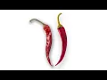 TT / Shutdown - Seedhe Maut
