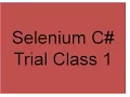 Selenium C Training TrialClass1