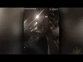 Deputies tase burglar