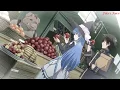 Download Lagu 【AMV】Majiko - Irony