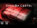 Inside the Cartels Billion-Dollar Empire