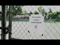 Players react to Boise pickleball court closures after noise lawsuit settlement