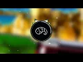 The Paisley Daze - Gold (Official Audio)