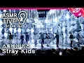 Download Lagu [ASMR live] 스트레이 키즈(Stray Kids) – I am YOU (STAGE Ver.)