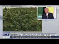 Recreational marijuana in NJ What you need to know