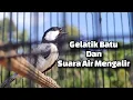 Download Lagu GELATIK BATU DAN SUARA AIR MENGALIR UNTUK TERAPI GELATIK BATU MACET BUNYI DAN GB BAHAN