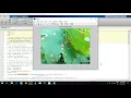 Leaf Disease detection using Matlab